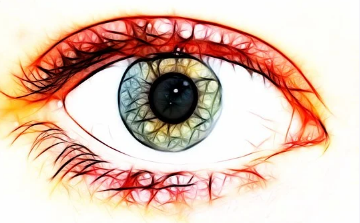 Human Eye